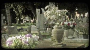İtalyan mezar taşları ve çiçek bir eğim aşağı. Vintage stilize video klip.