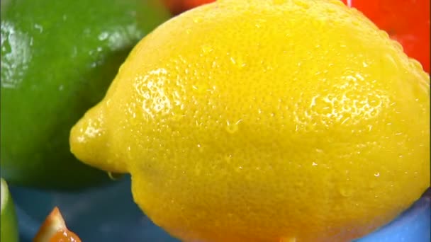 白い画面上にプレートを回転させる柑橘系の果物の品揃えのショットをズーム — ストック動画