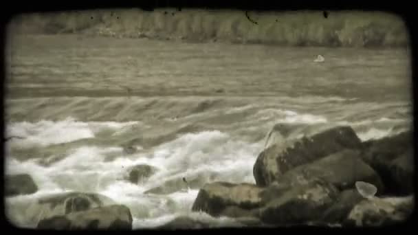 Een Schot Van Stroomversnellingen Whit Van Bewegende Water Van Rivier — Stockvideo