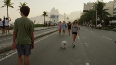 Rio De Janeiro, Brezilya - Haziran 2013: yavaş hareket izleme çekim sarışın bir kız köpeğini Avenida Vieira Souto aşağı yürüyüş