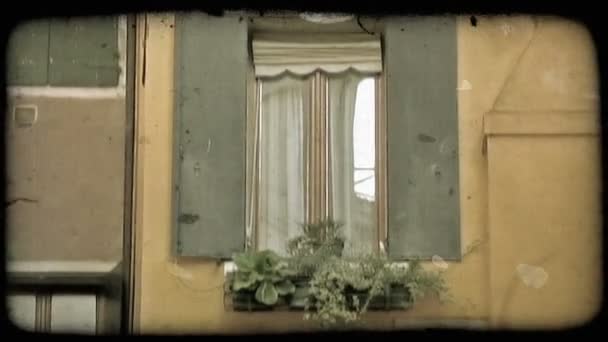 イタリアの窓の外のフラワー ボックスにいくつかの植物のショット ビンテージの様式化されたビデオ クリップ — ストック動画