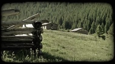 Yavaş mesafe eski terk edilmiş kabin günlük kabin için yakınlaştırma kalır ve daha fazla geri günlük kabin duvara çam ağacının yanındaki tüm dağ çimenli tepe üzerinde kaplı.