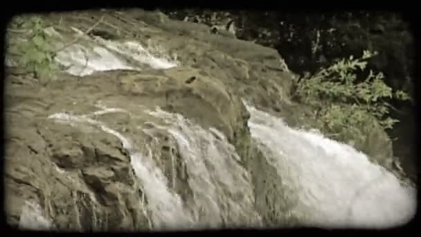 Вода Горного Ручья Разбивается Падает Края Горы Водопад Перепелоподобной Птицей — стоковое видео