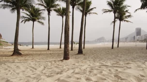 Palmen Stadsgezicht Genesteld Het Rio Grenst Aan Bergketen Gefilmd Juni — Stockvideo