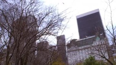 New York'ta ağaçların arkasındaki mimari ve binaların dolly çekimi. Kamera sağdan sola yuvarlanır.