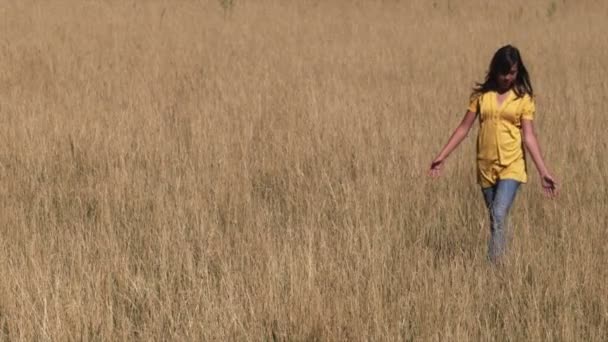 Dziewczyna Idzie Polu Pszenicy Przed Polem Kukurydzy — Wideo stockowe