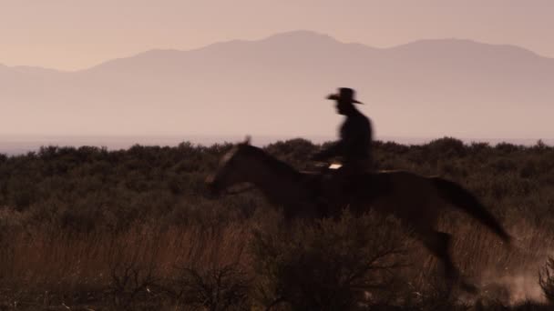 Cowboys Monta Cavalos Chutando Poeira Tiros Câmara Lenta — Vídeo de Stock