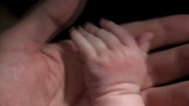 Close Van Een Baby Grijpen Van Een Volwassene Hand — Stockvideo
