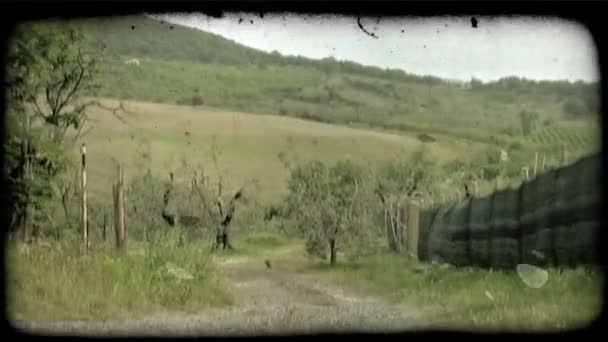 Постріл Гравій Шлях Згортає Пагорбі Італії Урожай Стилізовані Відеокліпу — стокове відео