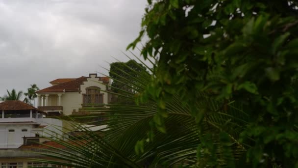 ブラジル リオデジャネイロの住宅のパンニングショット カメラは右から始まり 最初は木に焦点を当ててから左にパンし さまざまなタイプの家を示します — ストック動画