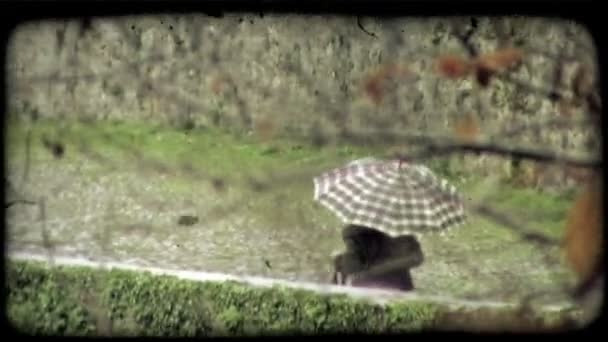 Woman Walks Rain Umbrella Vintage Stylized Video Clip — Stock Video