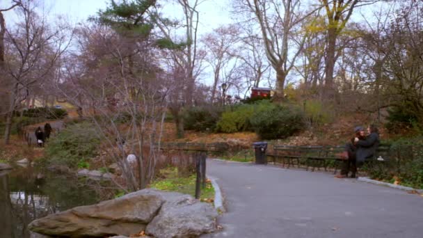 Пара Разговаривает Скамейке Парке Проходят Другие Люди Тропинке Нью Йорк — стоковое видео