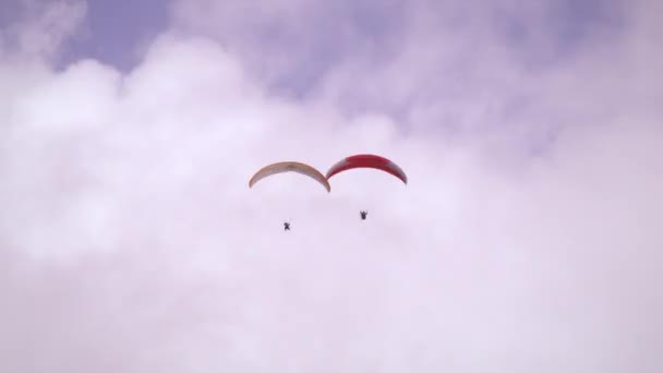 远距离拍摄的两个滑翔伞飙升并排在瑞士 镜头跟随滑翔伞的运动 — 图库视频影像
