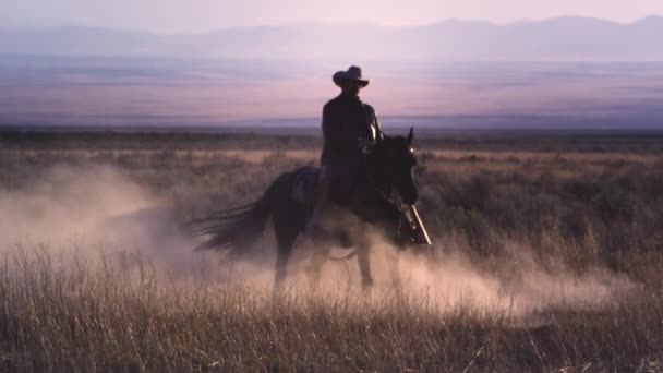 Tiro Estático Câmera Lenta Cowboy Montando Cavalo Redemoinho Poeira Cavaleiro — Vídeo de Stock