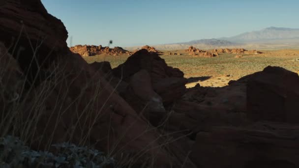 Tracking Skott Öken Landskap Elephant Rock Filmad Nevada — Stockvideo