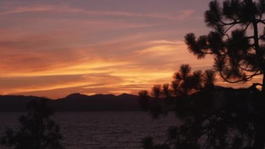 Nevada'daki Sand Harbor State Park'ta Tahoe Gölü'nün üzerinde güzel gün batımı. Ön planda siluetli bir çam ağacı vardır ve gölün karanlık, dalgalı yüzeyi görülebilir.
