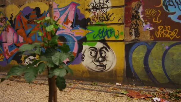 Ρίο Ντε Τζανέιρο Βραζιλία Ιούνιος 2013 Γκράφιτι Έναν Τοίχο Κατά — Αρχείο Βίντεο