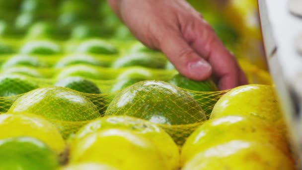 Primer Plano Una Persona Mirando Algunas Naranjas Mandarina Verde Mercado — Vídeo de stock