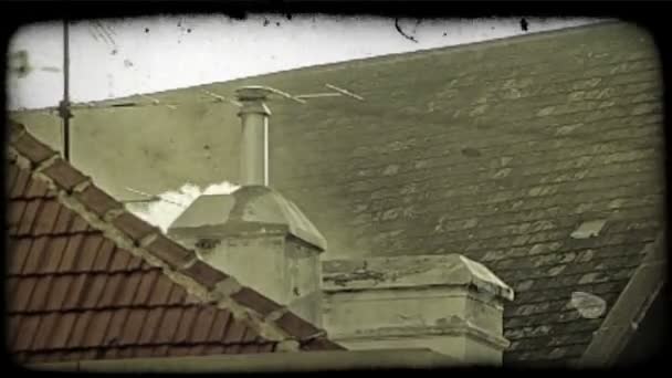 Medium Shot Roof Top Smoking Chimney Vienna Vintage Stylized Video — Stock Video