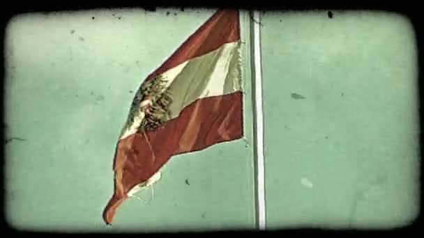 Tiro Bandera Austriaca Viena Vintage Clip Vídeo Estilizado — Vídeos de Stock