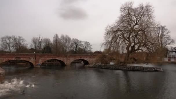 英格兰埃文河畔斯特拉特福德 2011 英格兰埃文河畔埃文河上的天鹅和鸭子的时移 河上有一座多拱桥 2011年10月拍摄 — 图库视频影像