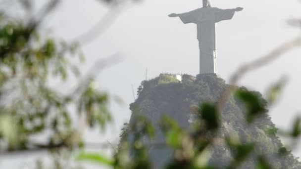 Rio Janeiro Brasil Junio 2013 Imágenes Panorámicas Del Follaje Las — Vídeos de Stock