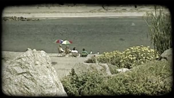 Powiększenie Starsza Para Siedzi Plaży Krzesła Pod Spodem Kolorowe Parasole — Wideo stockowe