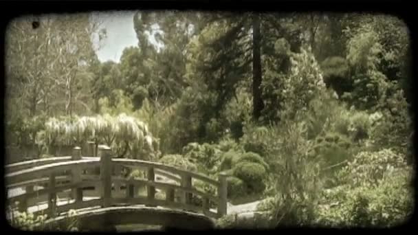 伝統的なアジア庭 それらのいくつかの木でいっぱいの魚でいっぱいの池上ラウンド橋をカーブ半円形ハンギング 他の緑の植物と手前左の黄色い水仙の花 ビンテージの様式化されたビデオ クリップ — ストック動画