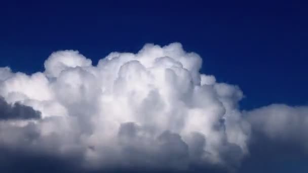Cliché Temporel Extrême Cumulus Blancs Roulant Dans Ciel Indigo — Video
