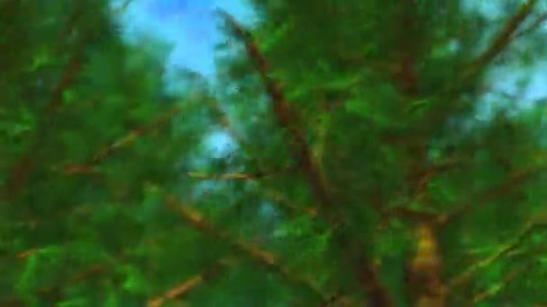 Sped Kaleidoskooppinen Värikäs Särmikäs Värit Hajallaan Räjähtää Avaruudessa — kuvapankkivideo