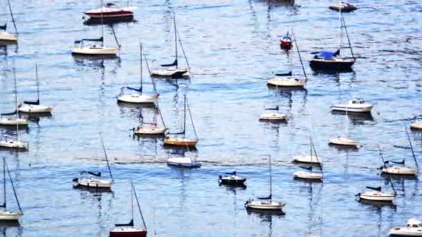 High Angle Footage Large Number Boats Bobbing Water Guanabara Bay — Stock Video