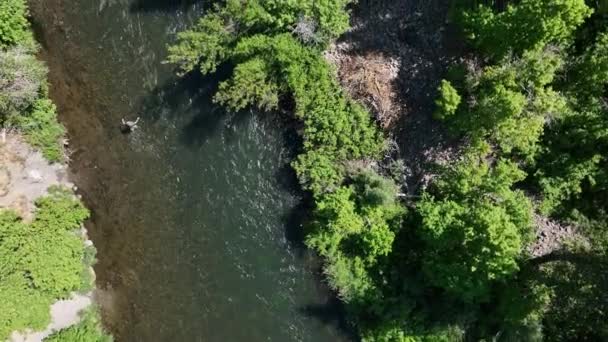 Aerial View Looking Provo River Person Fly Fishing Cast Line — Stock videók