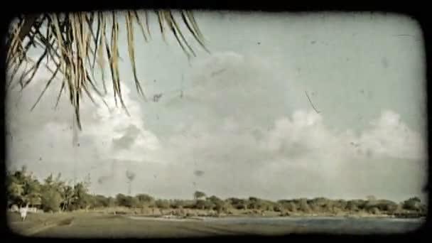 Noch Aufgenommen Von Einem Ruhigen Strand Mit Ausgetrockneten Palmenblättern Vordergrund — Stockvideo