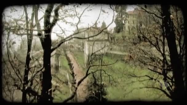 Budynek Położony Jest Lesie Starodawny Stylizowane Klip Wideo — Wideo stockowe