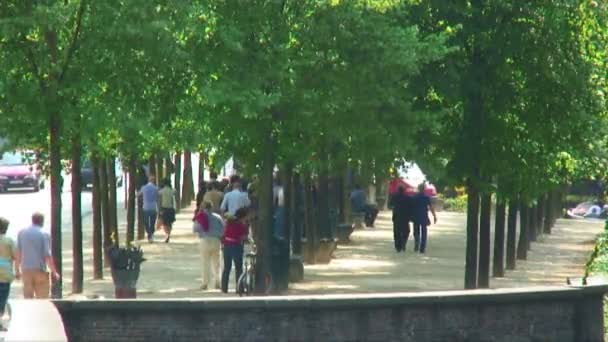 People Walking Tree Lined Walkways European City — Stock Video