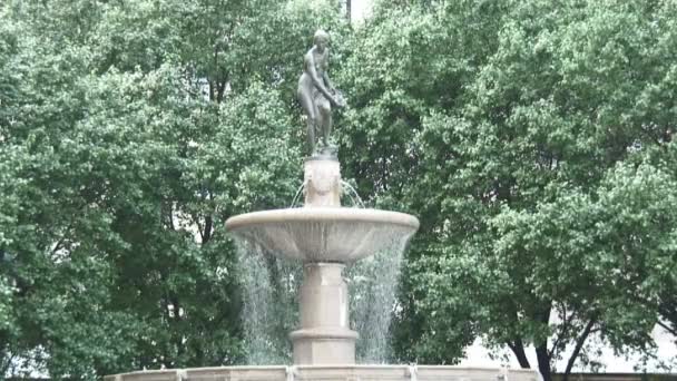 Prise Vue Une Fontaine Central Park New York — Video