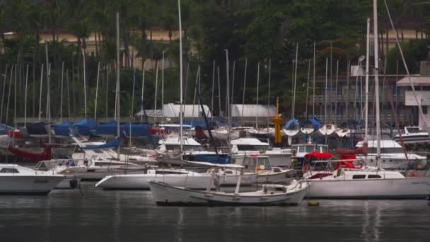 Barcos Flote Puerto Deportivo Río Janeiro Brasil — Vídeo de stock