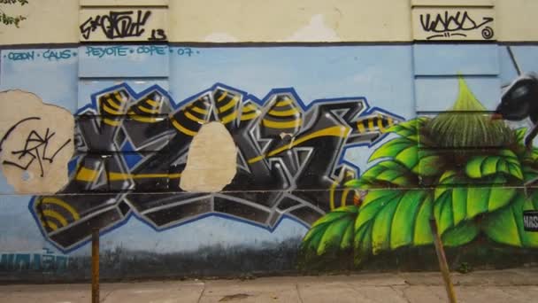 Rio Janeiro Brazilië Juni 2013 Graffiti Een Muur Langs Een — Stockvideo