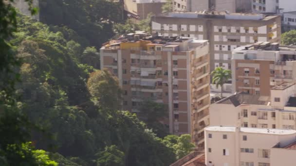 ジャネイロ ブラジルの住宅公園からパンを閉じます 映像が木に始まり Gradualley は自然な設定から不自然な設定に移動 — ストック動画