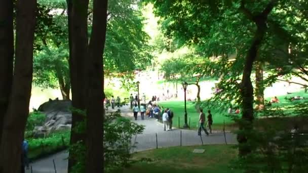 New York Abd Yaklaşık 2015 Atış Bir Geçit Central Park — Stok video