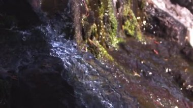Hala şelale tepesinden vurdu. Ağaçlar ve rock görülebilir. Güneş ışığının bottome şelale, ağaçlarda shinging olduğunu. Ağır çekim.