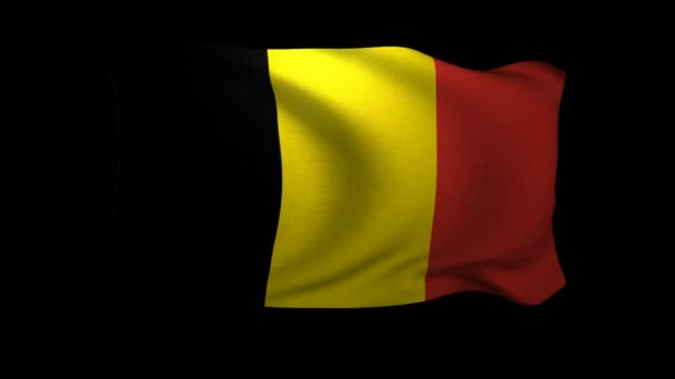 Flag Belgium Waving Wind Background Alpha Channel — Stock Video