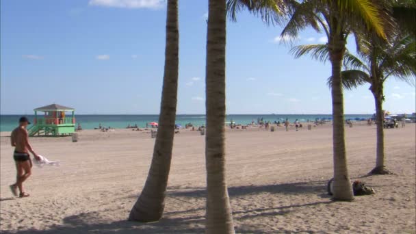 Zastřelil Muže Který Šel Miami Beach — Stock video