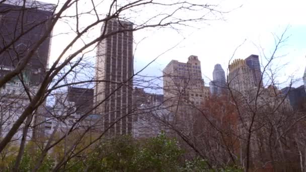 Tracking Shot Met Boomtakken Voorgrond New York City Cityscape Zichtbaar — Stockvideo