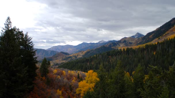 Bela Vista Panorâmica Montanha Árvores Coloridas Outono Colinas Vales Com — Vídeo de Stock