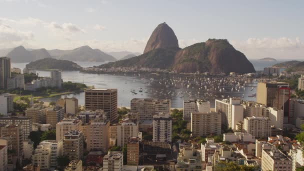 Денне Світло Постріл Ріо Жанейро Рух Проспекті Океану — стокове відео