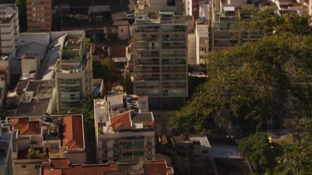 Вертикальне Постріл Відстеження Ріо Жанейро Будівель Пляж Гори Дерева Дахи — стокове відео