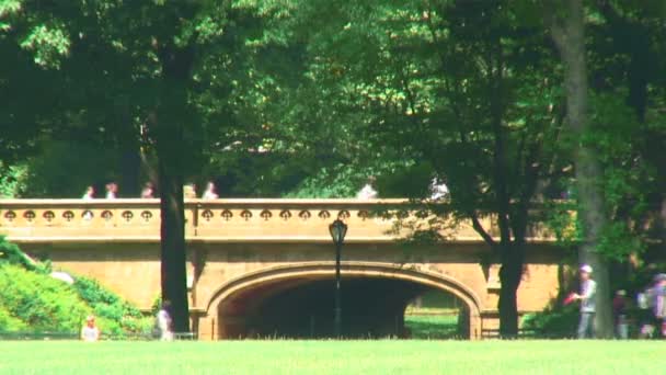 New York Usa Circa 2015 Brug Een Wandelpad Central Park — Stockvideo