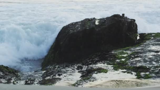 ブラジル リオデジャネイロの岩と苔で覆われた海岸に飛び散る真昼の波のスローモーション映像 — ストック動画