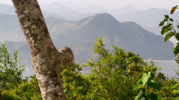 Tiro Estático Montañas Río Janeiro Brasil — Vídeo de stock